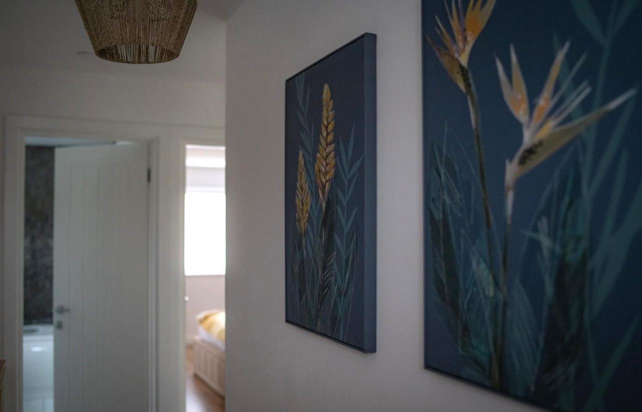 The Red House Modern Stylish Home From Home Walking Distance To Cardiff Bay And City Centre With Parking Eksteriør billede